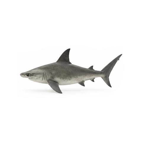 Tiburón martillo, perfil izquierdo - estudio visual de GTA 6 de Grind Coast